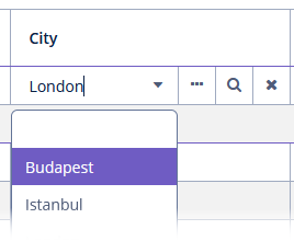 data grid editable custom field