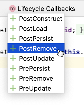 entity designer lifecycle callbacks